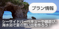 �v�������肾������I
