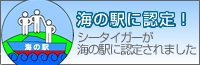 �V�[�^�C�K�[���C�̉w�ɔF�肳��܂���