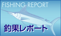 釣果レポート