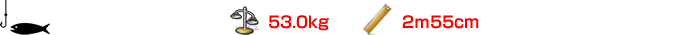 マカジキ