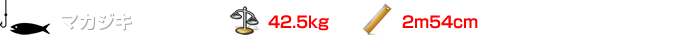 マカジキ