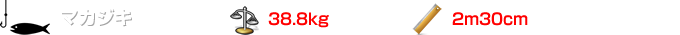 マカジキ