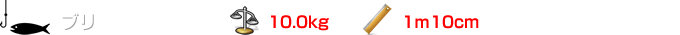 ブリ